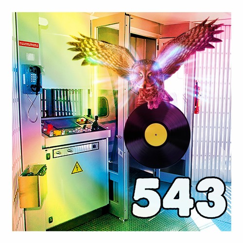 543: Take Off Your Jorts And Shacket