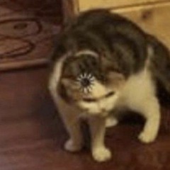 Servant of Evil   悪ノ召使  (Piano ver.) ENGLISH COVER by Lizz Robinett ft.