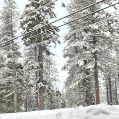 “Sleeping In” - (The Postal Service)