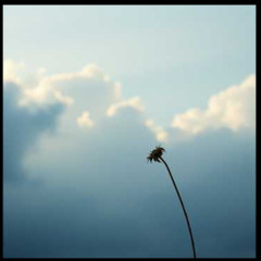 I’ve been counting ceiling cracks like s