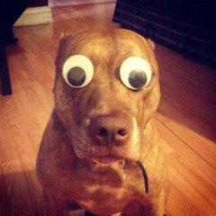 october/november 2k25 clips