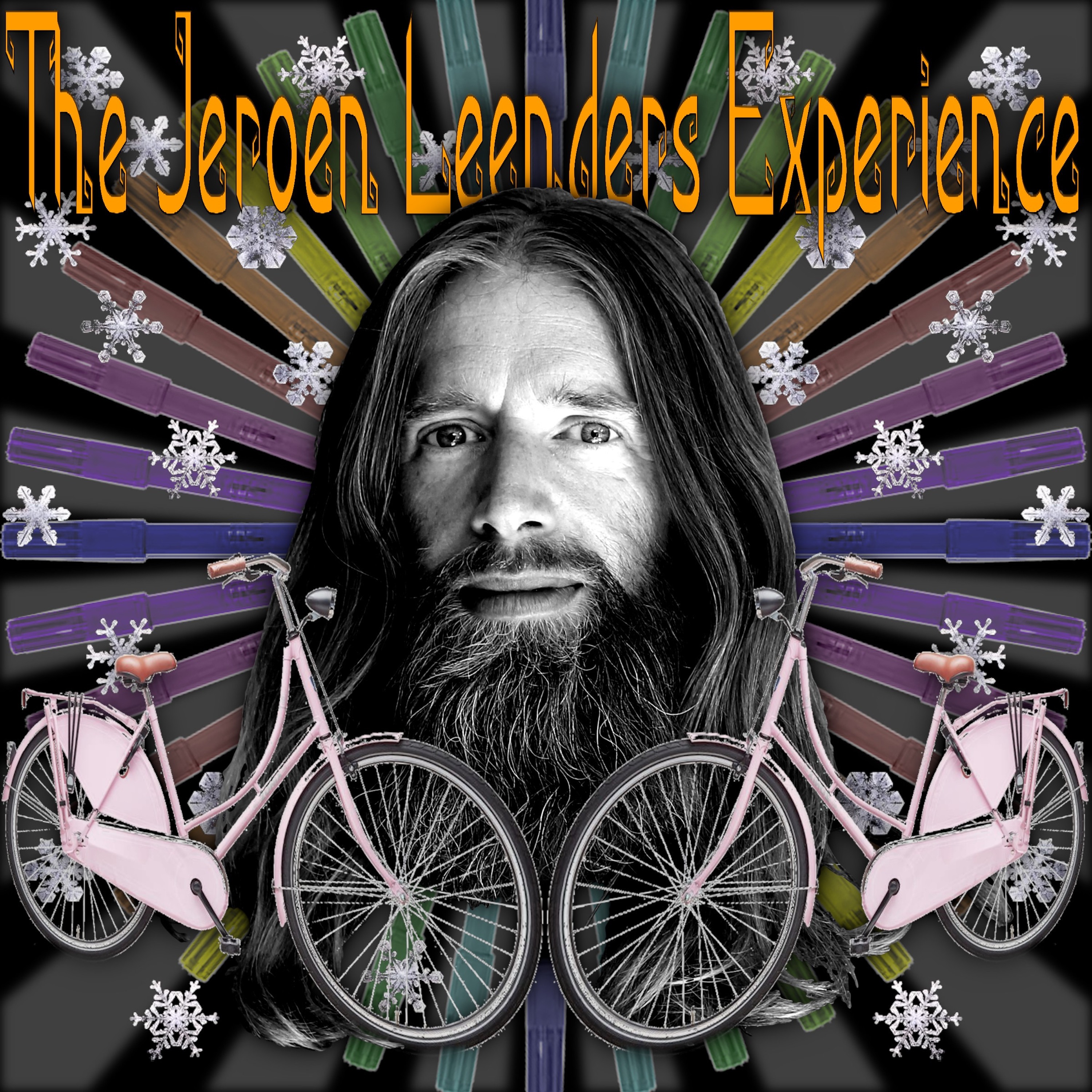 Jeroen Leenders Experience