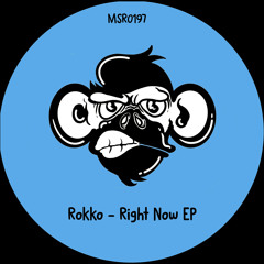 Rokko - Gorilla Train (Original Mix)