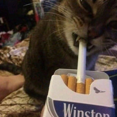 IRL (original demo) (prod. gehx & indrasarrow) **2024**