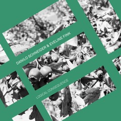 feeder sound premiere: Danilo Schneider & Eveline Fink - Road To Nowhere