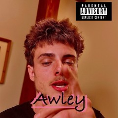 Awley-Too fly