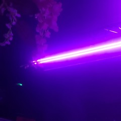 Bouncy/Trance💜