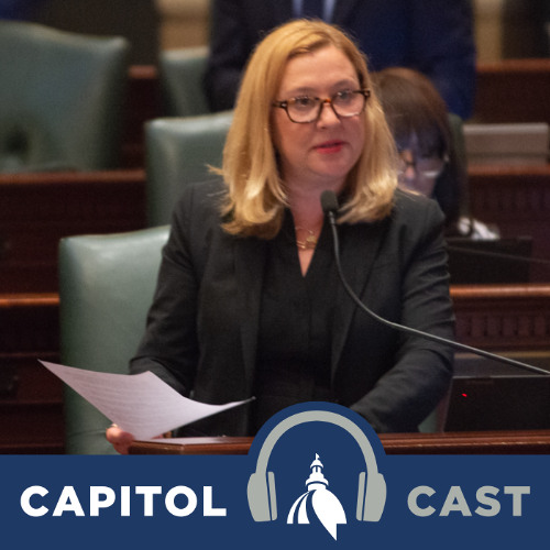 Federal turmoil challenges state policymakers