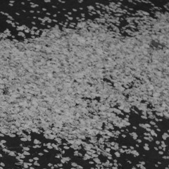 現代から古代へ