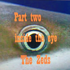 Inside the eye of the shark (Part Two)