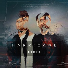 Jonas Aden & Mike Williams - I Hope You Know (Harricane Remix)
