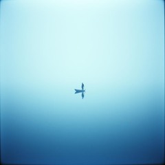 HOW DEEP IS YOUR POP (Original Edit)