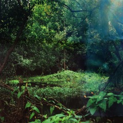 Bad Juju in the Bayou