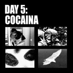 Day 5: Cocaina