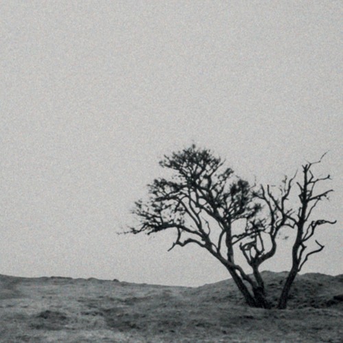 PREMIERE: Tys - We'll Figure It Out [Simpler Times]
