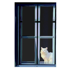 Blue - Gypsy Woman (Cat Insurance Remix)
