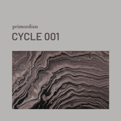 Cycle 001
