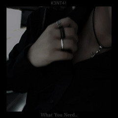 What You Need - K3NT4!