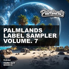 Hard Guy (Radio Edit) [Palmlands Records]