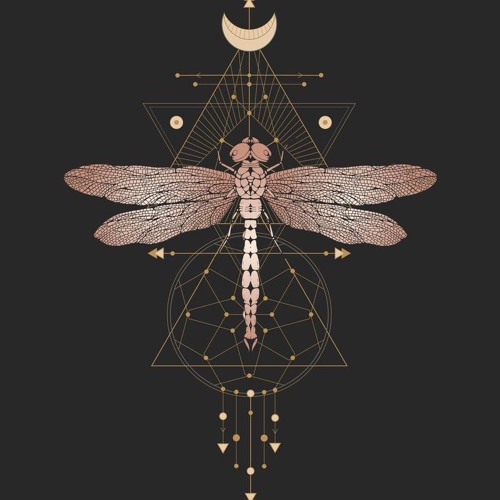 The Four Winged Creature - (set @ 🦜11/04/24)