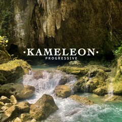 Kameleon - Progressive Tribal Trance