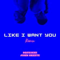 Like I Want You (Squeemix) [ Sque3eze x John Skeete ]