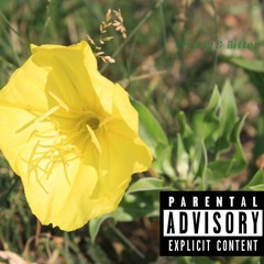 Drake Secrets (KD RMx)