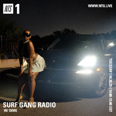 NTS SURF GANG RADIO W/ DIME