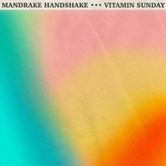 Mandrake Handshake - Vitamin Sunday (Radio Edit)