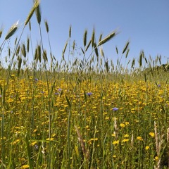 Encounters - Stories About Our Natural World. Episode 3