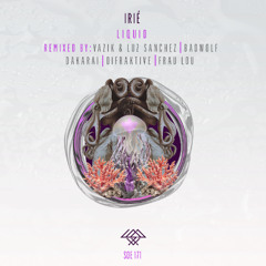 SOE171 IRIÉ - Desfrutar (Extended Mix)