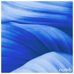 numb - (copyright free download)