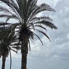 wissam dawood - ahdanek