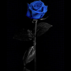 LEAVE ME ALONE(official audio)by LILJAYTHEPRINCE