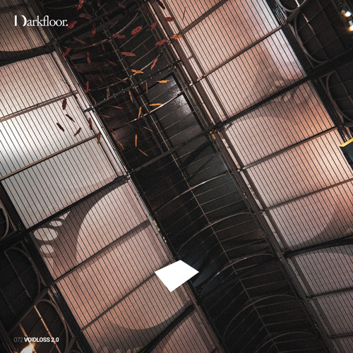 Darkfloor 72 - Voidloss - All The Way To Hell