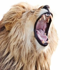 Scott Brown - We're Droppin This