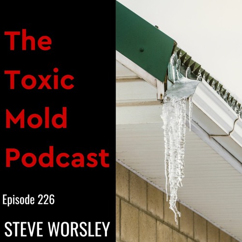 EP 226: Toxic Mold and Rain Gutters