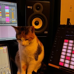 2 HOURS OF FRESH GROOVES - MISTINGO