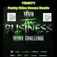 Tiesto Business Remix Comp - Trinity Funky House Remix