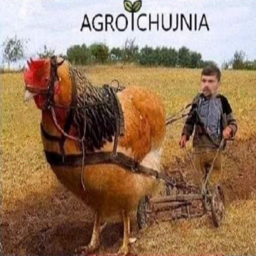 Oɴᴀ Jᴇsᴛ Tᴀᴋᴀ Cᴜᴅᴏᴡɴᴀ 🫶