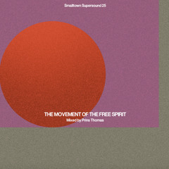 C (Ricardo Villalobos King Crab Remix) / Adjust / T03 / C (Ricardo Villalobos Knödel Prince Dub) / Shelton's on a Bender