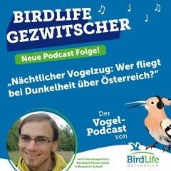 54. Nächtlicher Vogelzug: Wer fliegt bei Dunkelheit über Österreich?