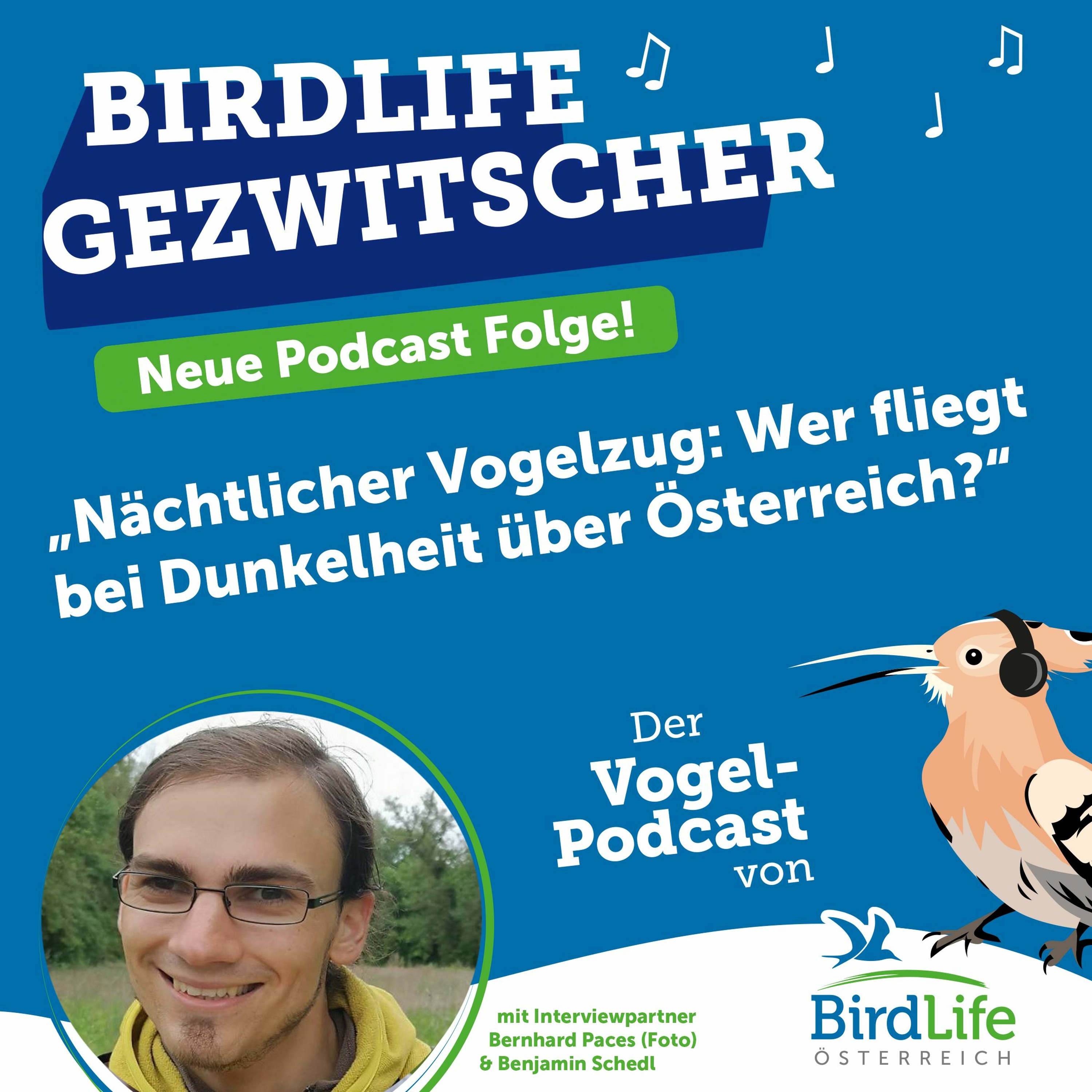 54. Nächtlicher Vogelzug: Wer fliegt bei Dunkelheit über Österreich?