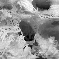 wasted elegantly  l  10042021