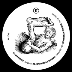 New Frames & Unhuman - Split #3 [PEVA09 | Full Tracks]
