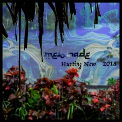 Hurting New (2018 Remake)