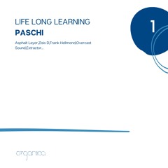 Life Long Learning #1 - Paschi