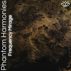 Frequency Mirage - Phantom Harmonies [Namastunes]