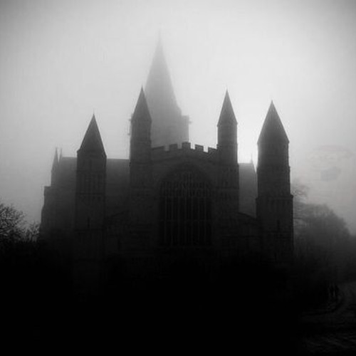 I Dreamed the World Into Silence