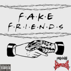FAKE FRIENDS (PROD. M.EXO46) (PROD. GRIMSIDE)